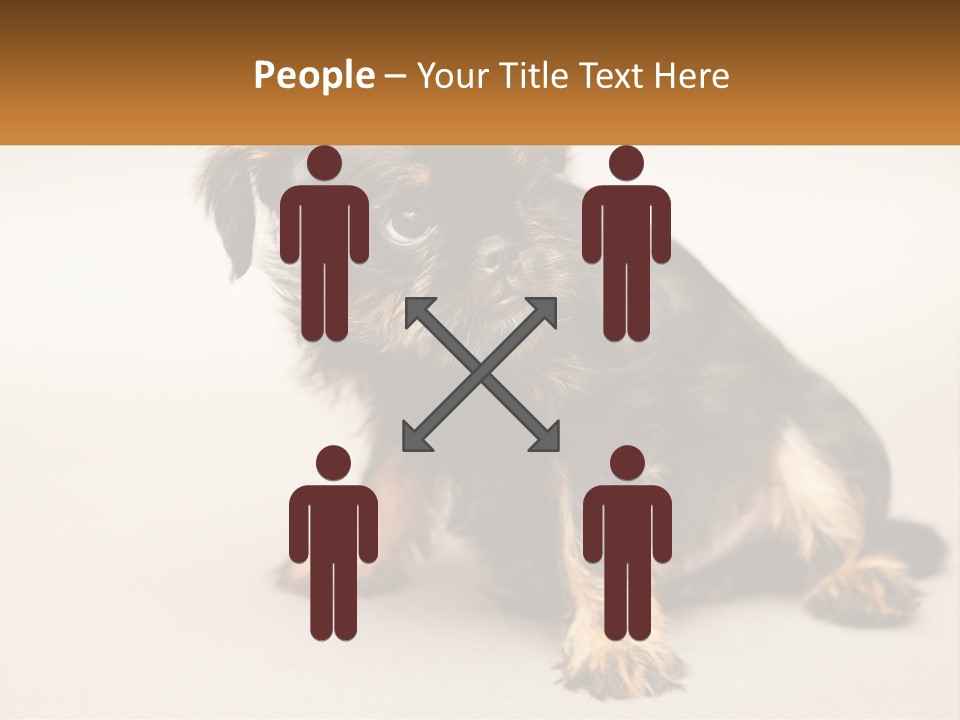 A Small Black And Brown Dog Sitting On Top Of A White Floor PowerPoint Template