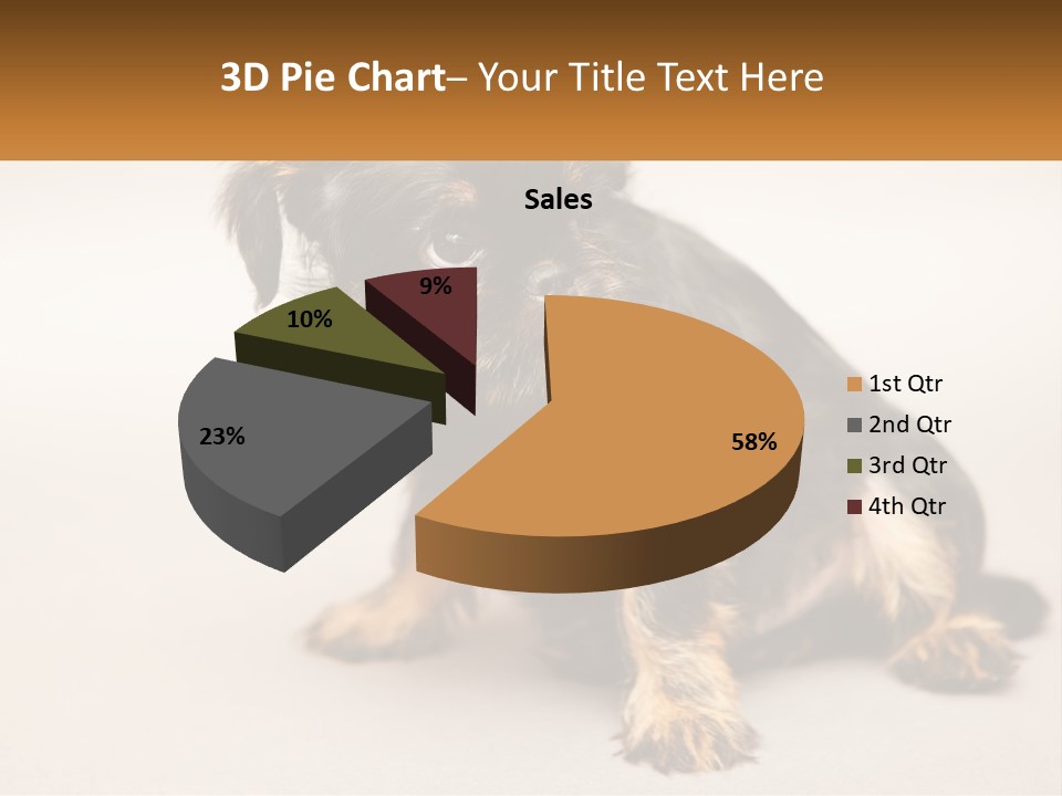 A Small Black And Brown Dog Sitting On Top Of A White Floor PowerPoint Template
