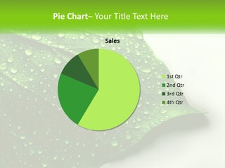 A Green Leaf With Water Droplets On It PowerPoint Template