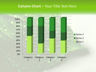 A Green Leaf With Water Droplets On It PowerPoint Template