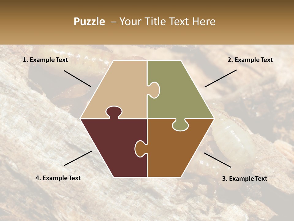 A Group Of Termites On A Piece Of Wood PowerPoint Template