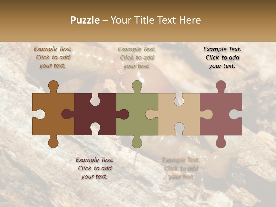 A Group Of Termites On A Piece Of Wood PowerPoint Template