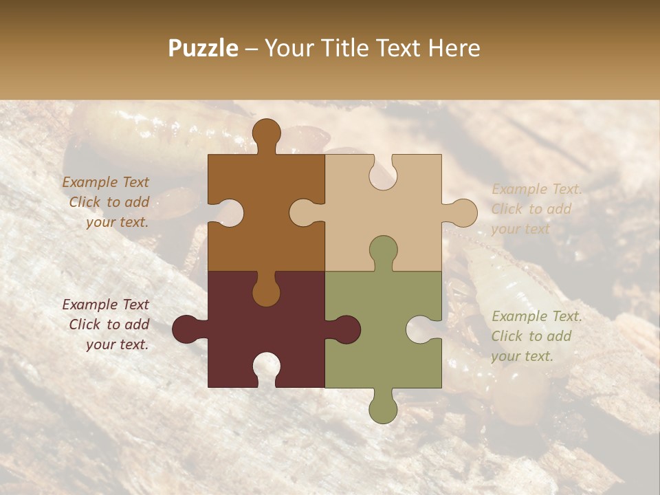 A Group Of Termites On A Piece Of Wood PowerPoint Template