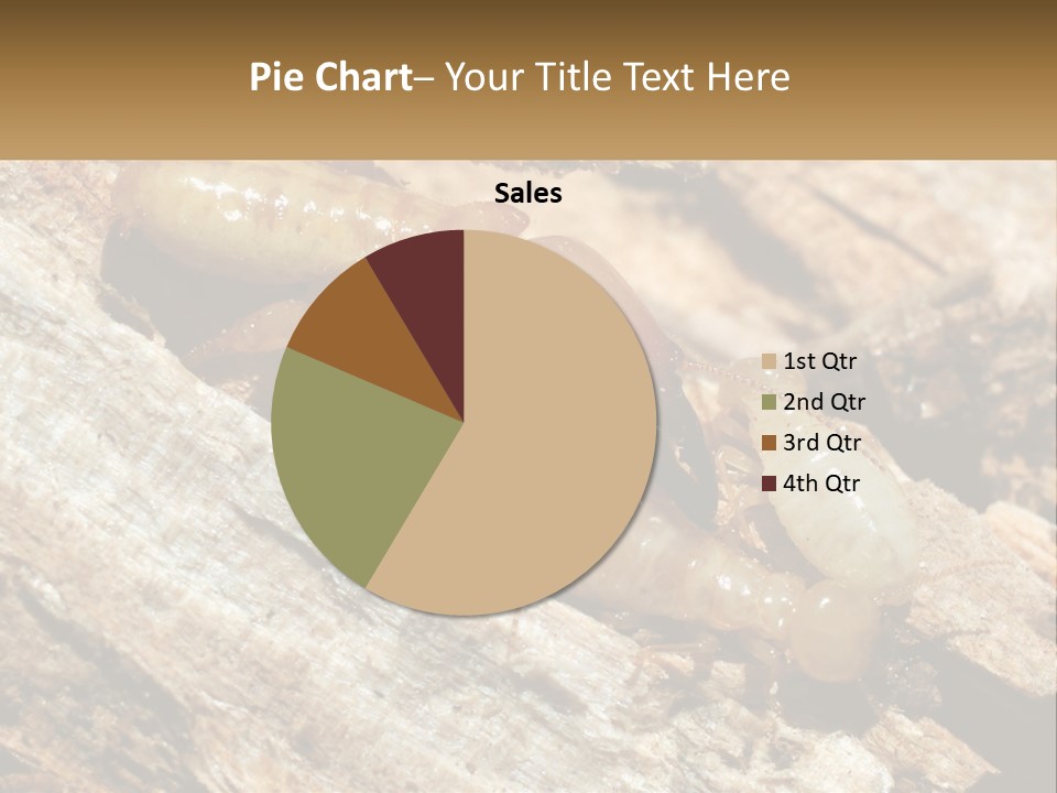 A Group Of Termites On A Piece Of Wood PowerPoint Template