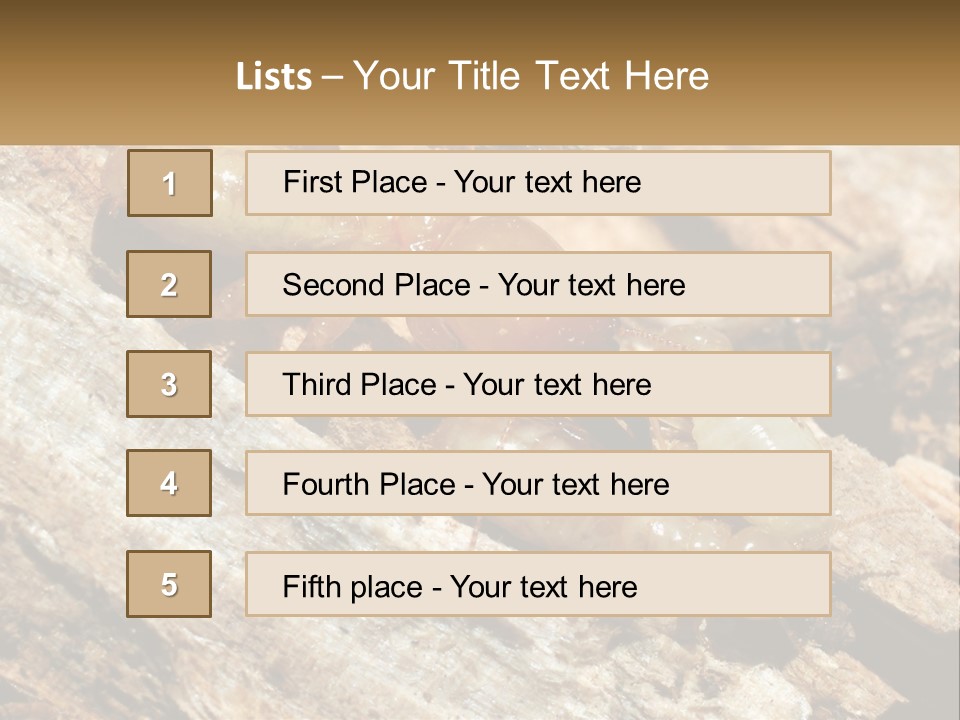 A Group Of Termites On A Piece Of Wood PowerPoint Template