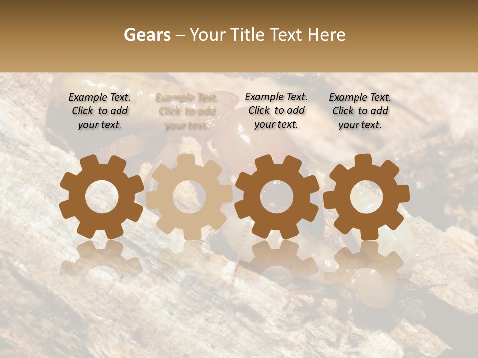 A Group Of Termites On A Piece Of Wood PowerPoint Template