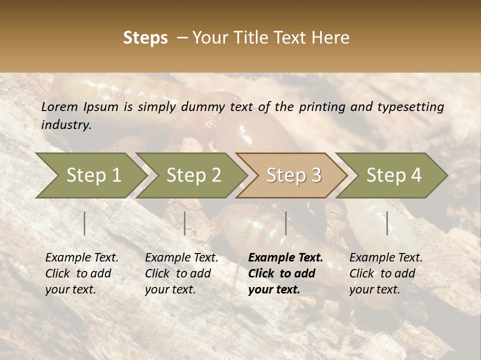 A Group Of Termites On A Piece Of Wood PowerPoint Template