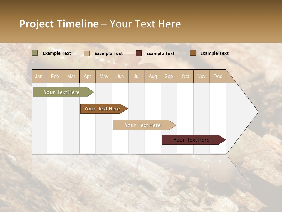 A Group Of Termites On A Piece Of Wood PowerPoint Template