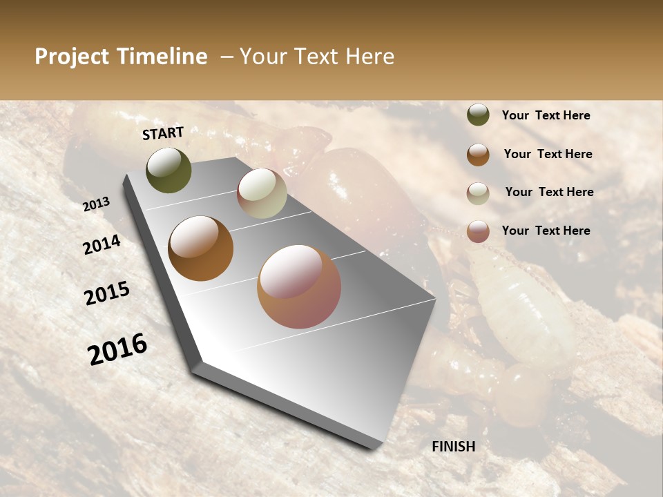 A Group Of Termites On A Piece Of Wood PowerPoint Template