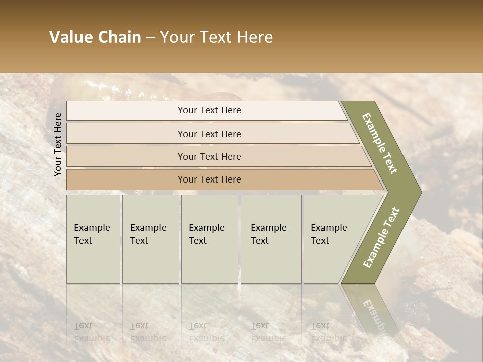 A Group Of Termites On A Piece Of Wood PowerPoint Template