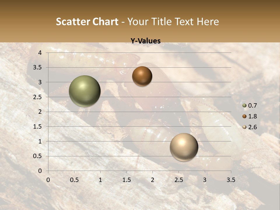 A Group Of Termites On A Piece Of Wood PowerPoint Template