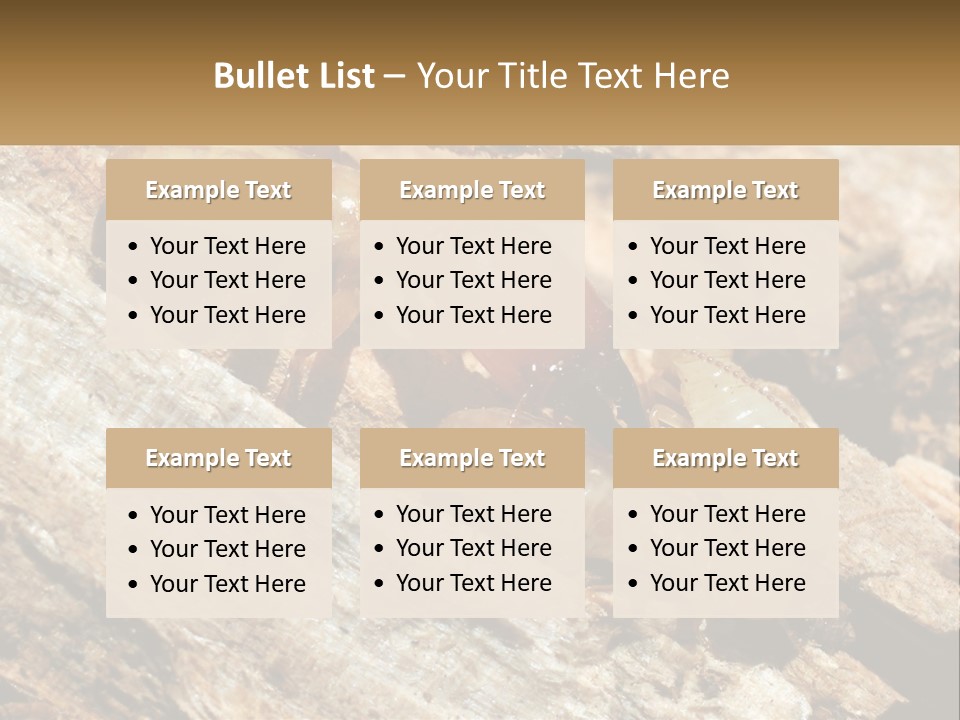 A Group Of Termites On A Piece Of Wood PowerPoint Template