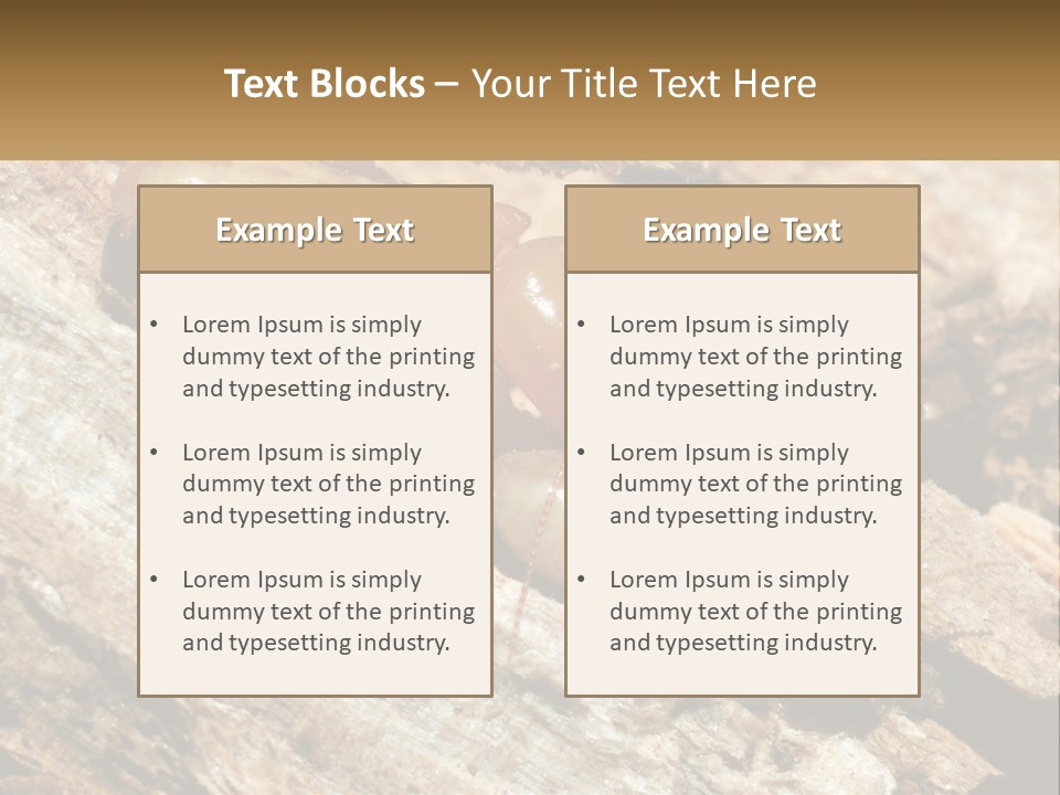 A Group Of Termites On A Piece Of Wood PowerPoint Template