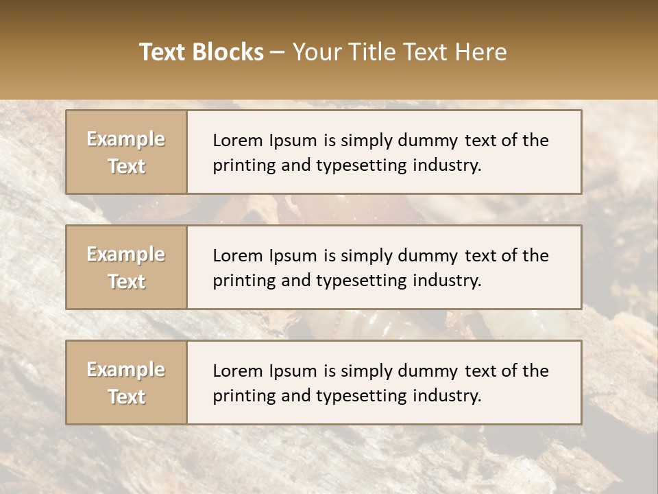 A Group Of Termites On A Piece Of Wood PowerPoint Template