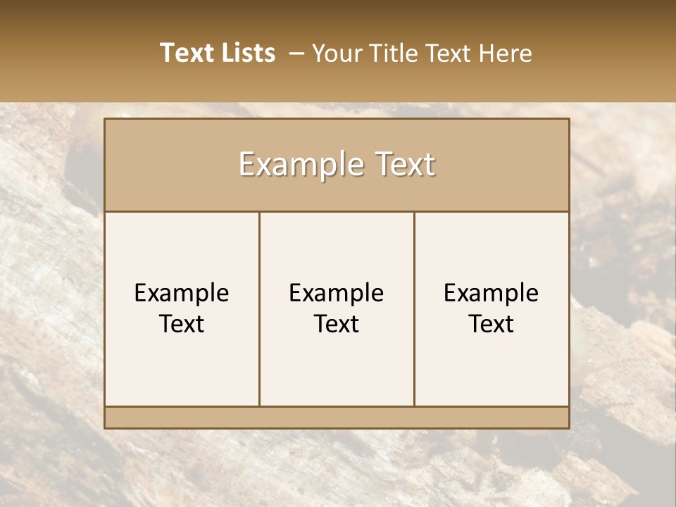 A Group Of Termites On A Piece Of Wood PowerPoint Template
