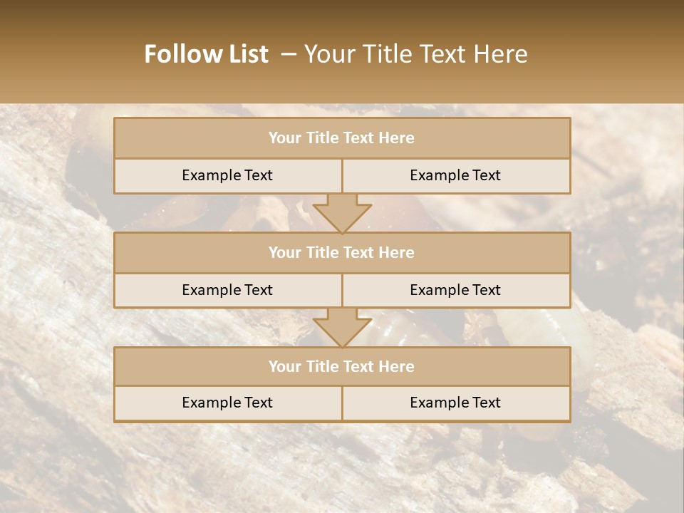 A Group Of Termites On A Piece Of Wood PowerPoint Template