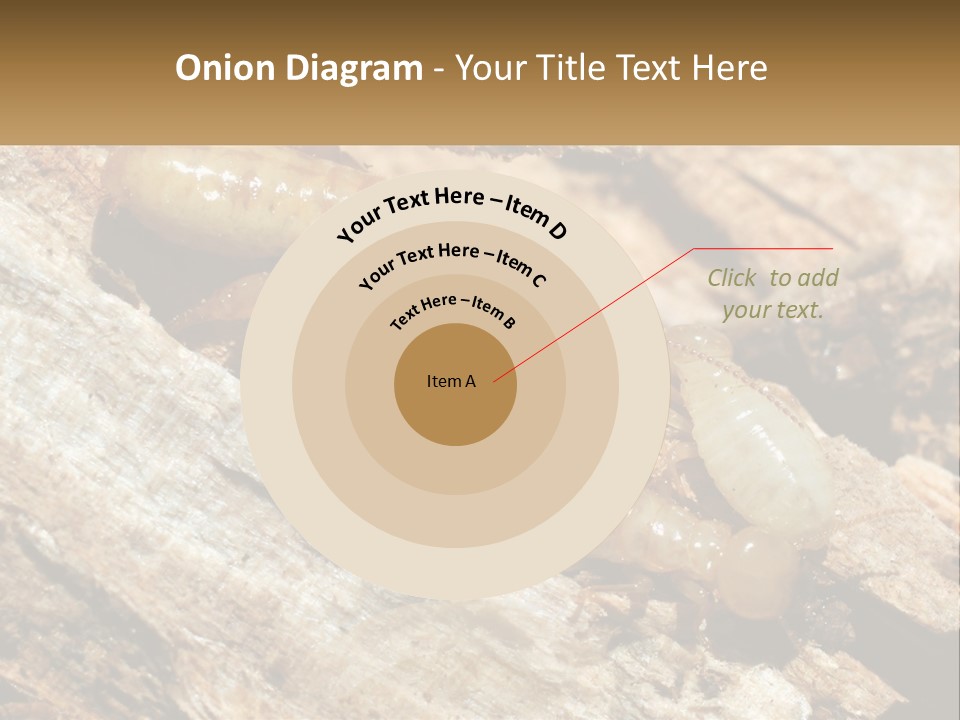 A Group Of Termites On A Piece Of Wood PowerPoint Template