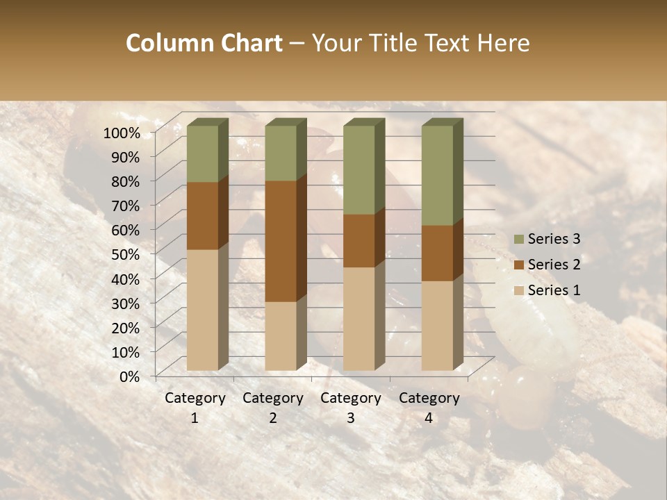 A Group Of Termites On A Piece Of Wood PowerPoint Template