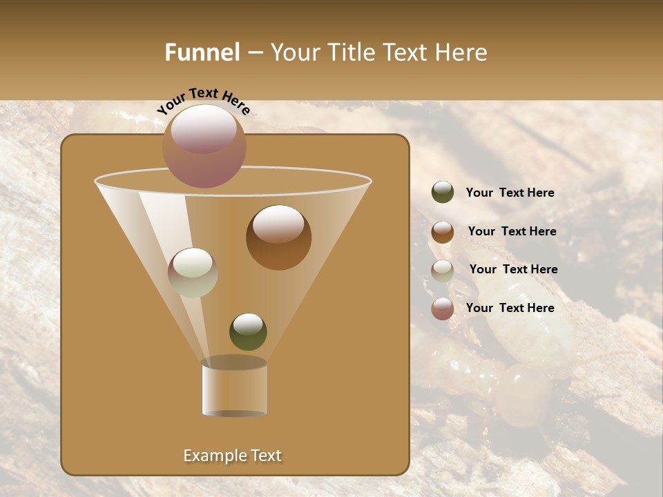 A Group Of Termites On A Piece Of Wood PowerPoint Template