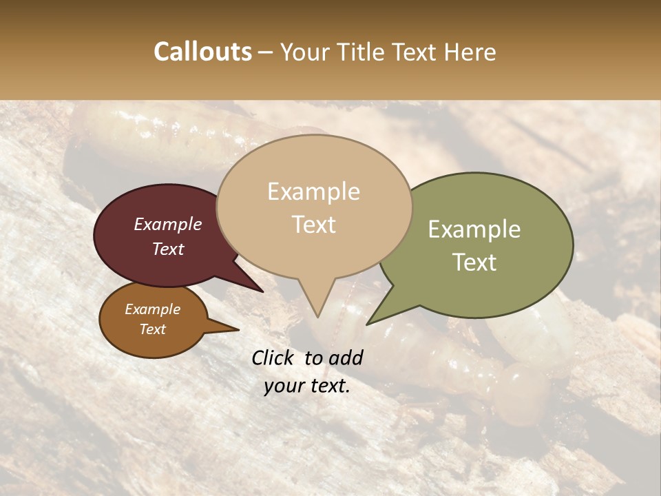 A Group Of Termites On A Piece Of Wood PowerPoint Template