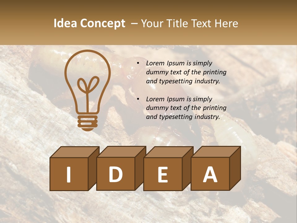 A Group Of Termites On A Piece Of Wood PowerPoint Template