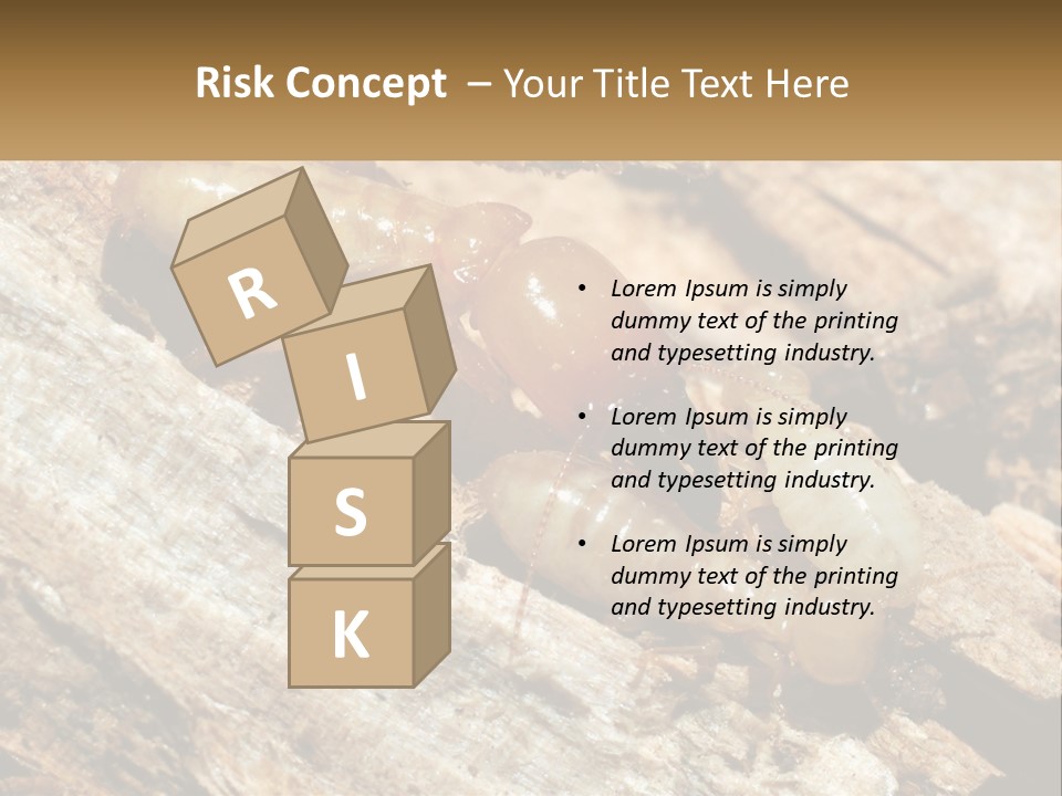 A Group Of Termites On A Piece Of Wood PowerPoint Template