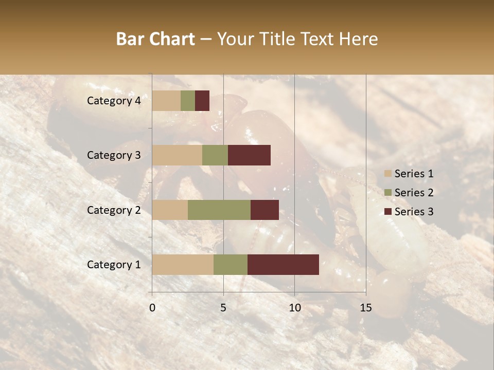 A Group Of Termites On A Piece Of Wood PowerPoint Template