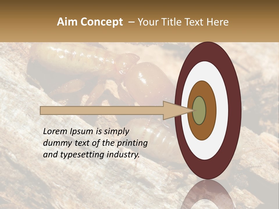A Group Of Termites On A Piece Of Wood PowerPoint Template