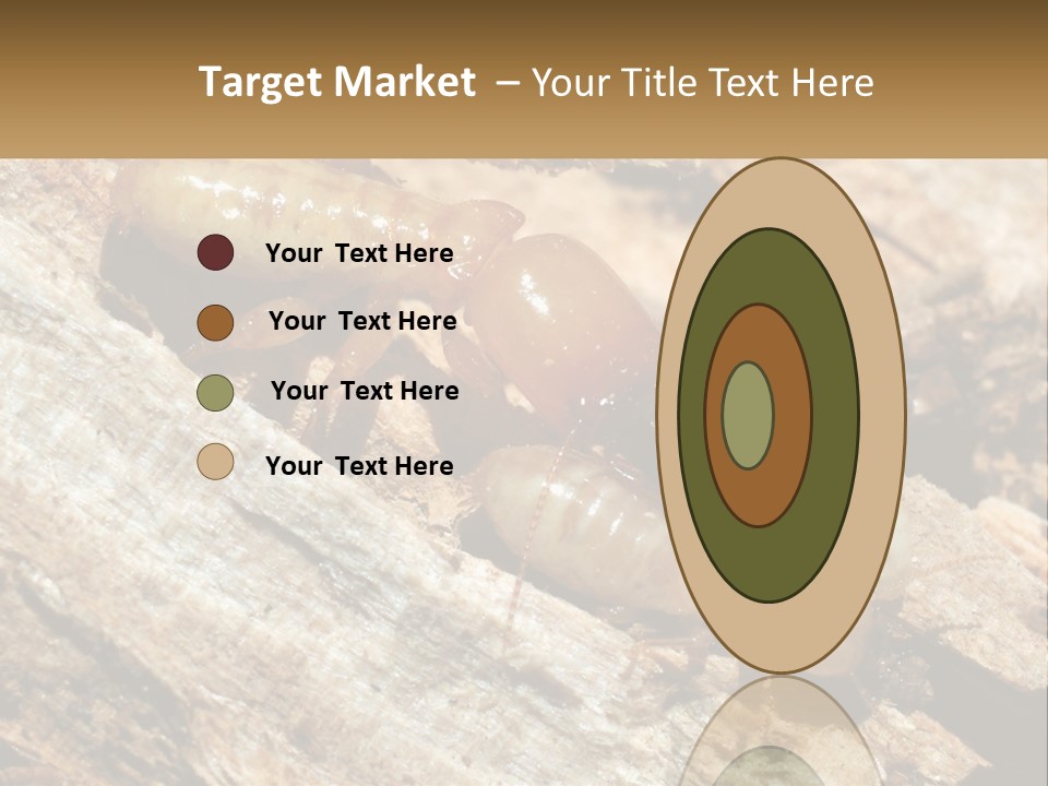 A Group Of Termites On A Piece Of Wood PowerPoint Template