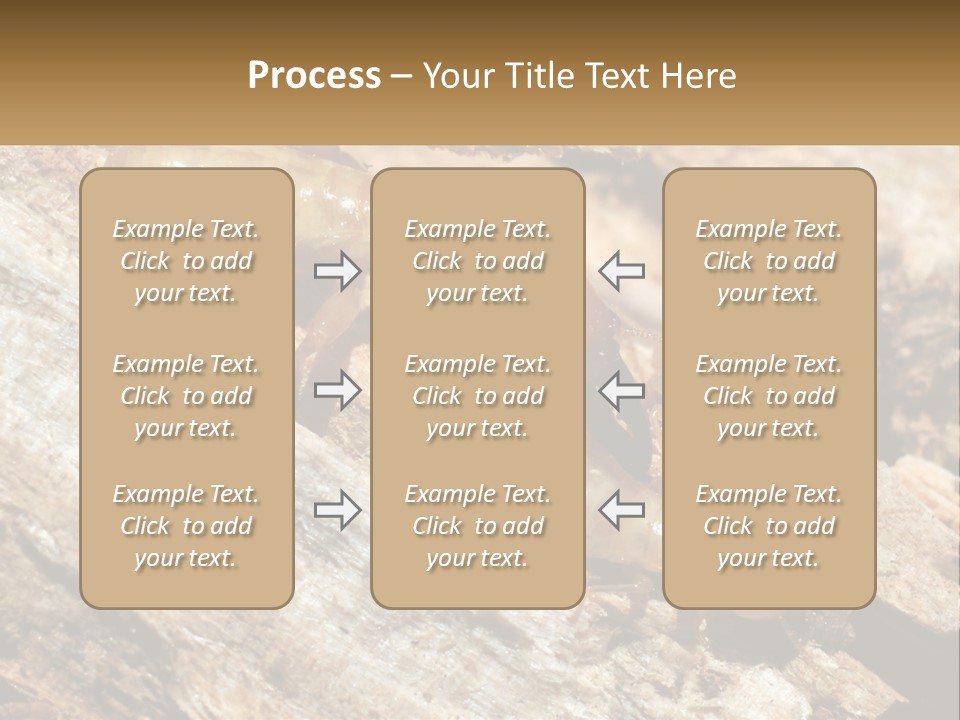 A Group Of Termites On A Piece Of Wood PowerPoint Template