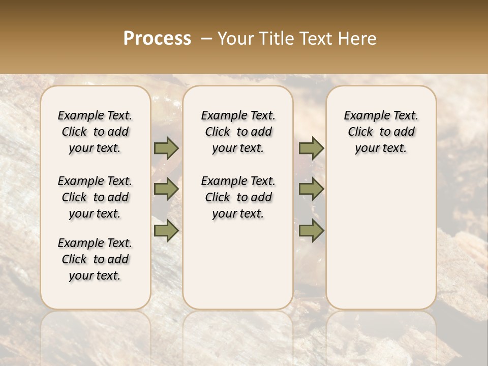 A Group Of Termites On A Piece Of Wood PowerPoint Template