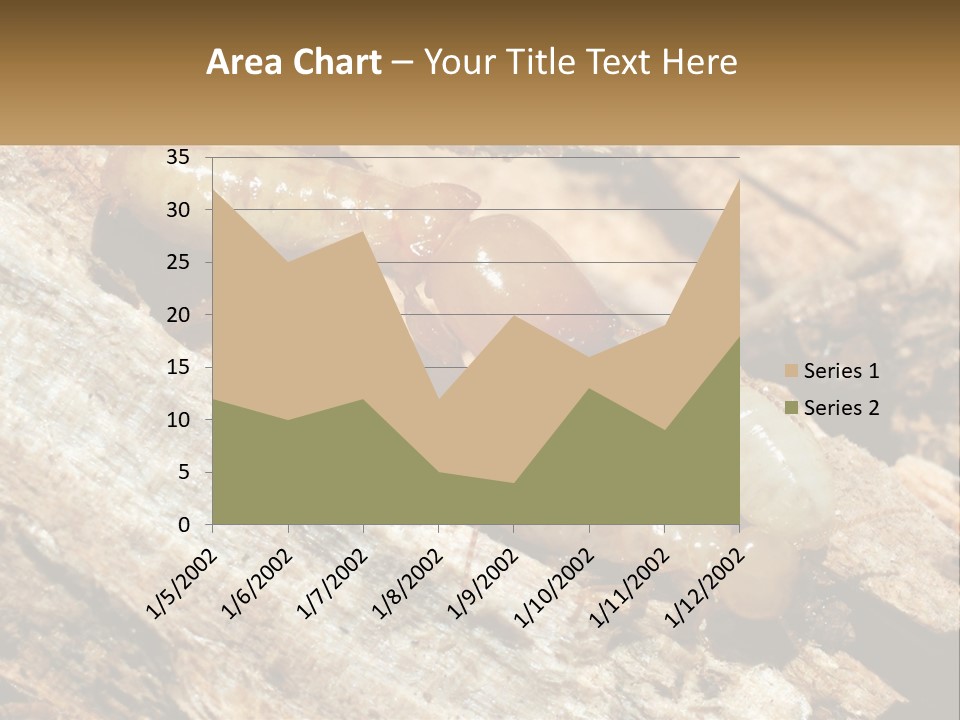 A Group Of Termites On A Piece Of Wood PowerPoint Template