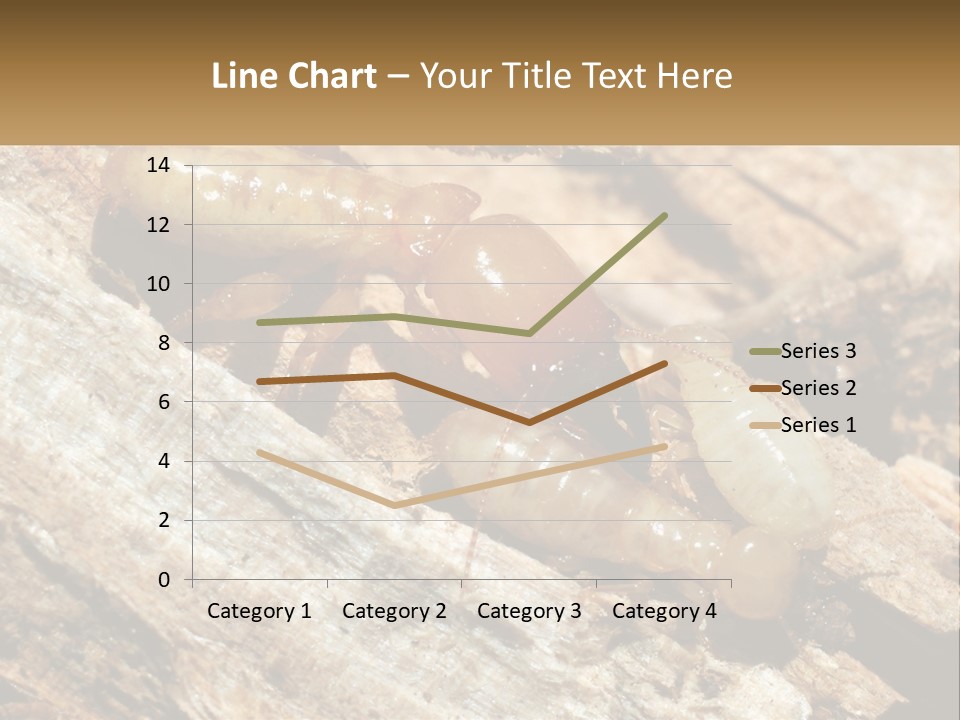 A Group Of Termites On A Piece Of Wood PowerPoint Template