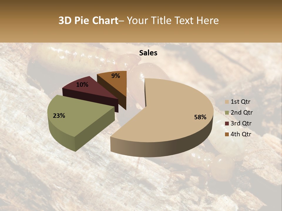 A Group Of Termites On A Piece Of Wood PowerPoint Template