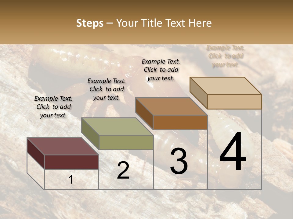 A Group Of Termites On A Piece Of Wood PowerPoint Template