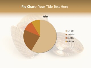 Two Clamshells On A White Background Powerpoint Template PowerPoint Template