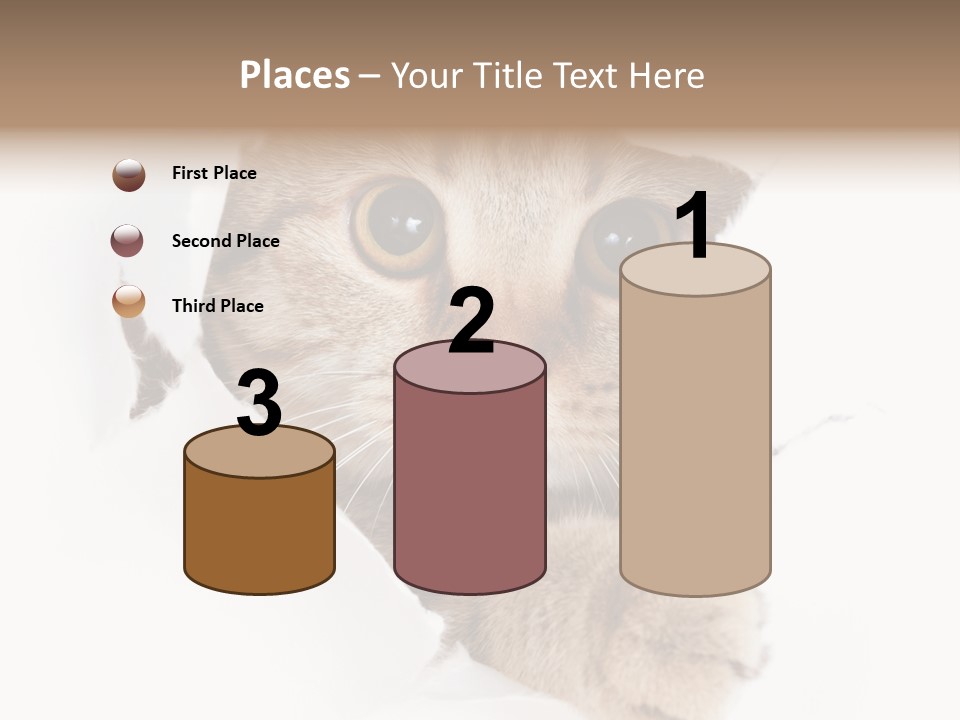 A Cat Peeking Through A Hole In A Paper PowerPoint Template