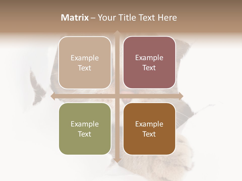 A Cat Peeking Through A Hole In A Paper PowerPoint Template