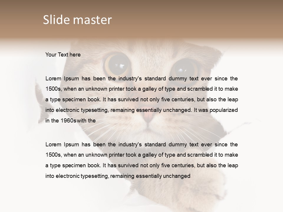 A Cat Peeking Through A Hole In A Paper PowerPoint Template