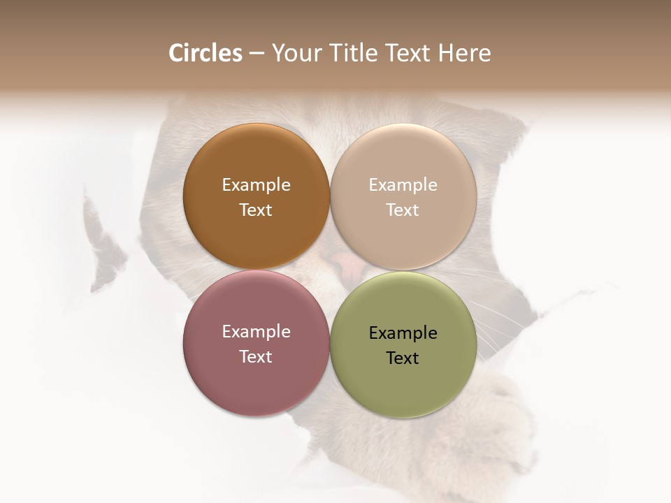 A Cat Peeking Through A Hole In A Paper PowerPoint Template