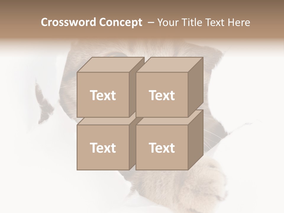 A Cat Peeking Through A Hole In A Paper PowerPoint Template