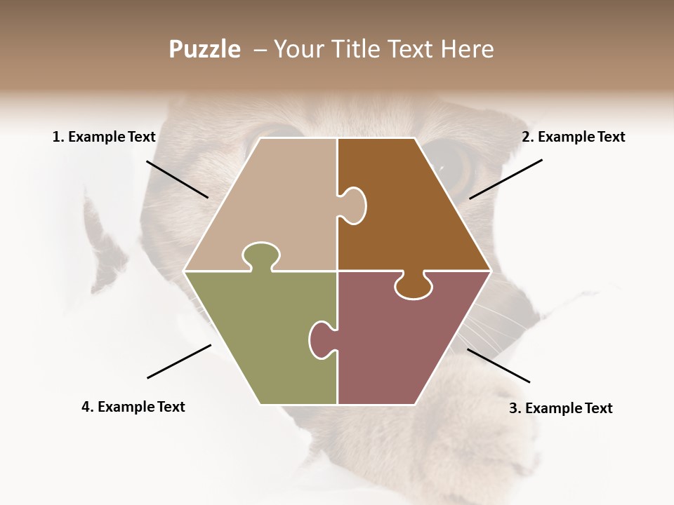 A Cat Peeking Through A Hole In A Paper PowerPoint Template