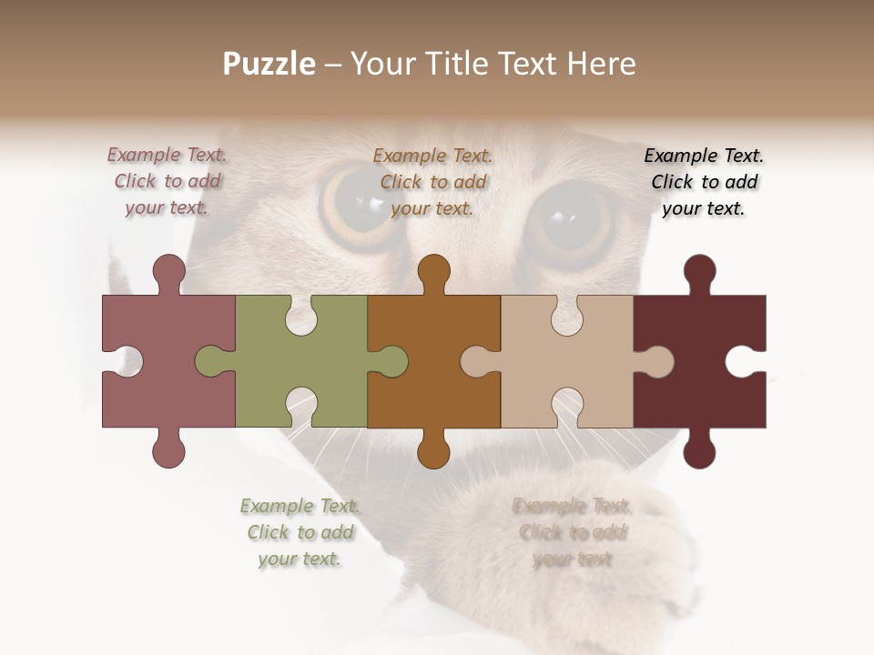 A Cat Peeking Through A Hole In A Paper PowerPoint Template