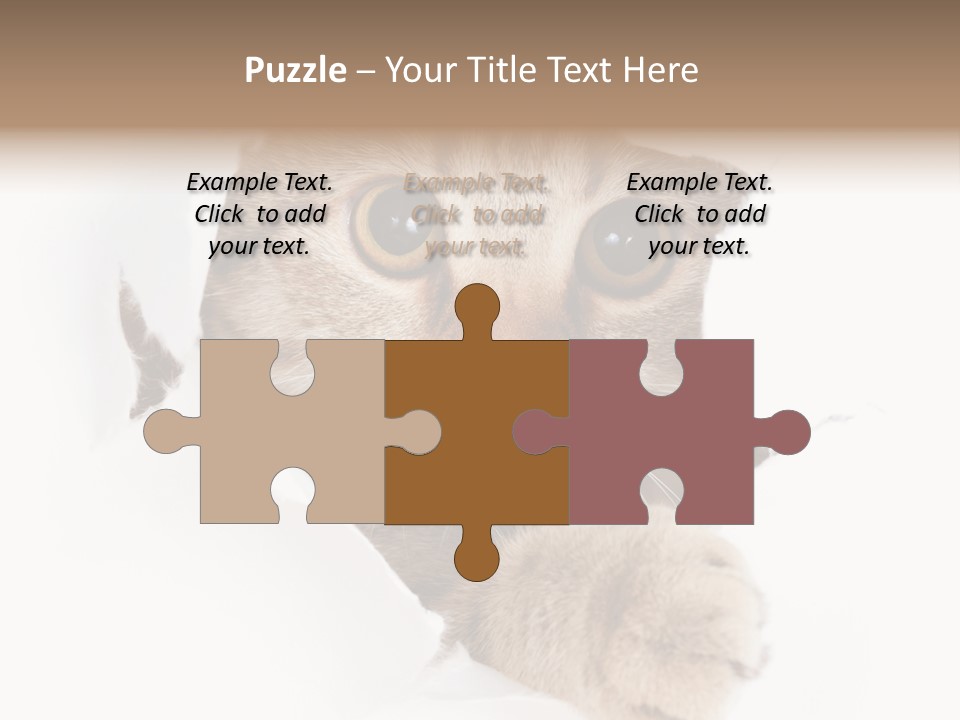 A Cat Peeking Through A Hole In A Paper PowerPoint Template