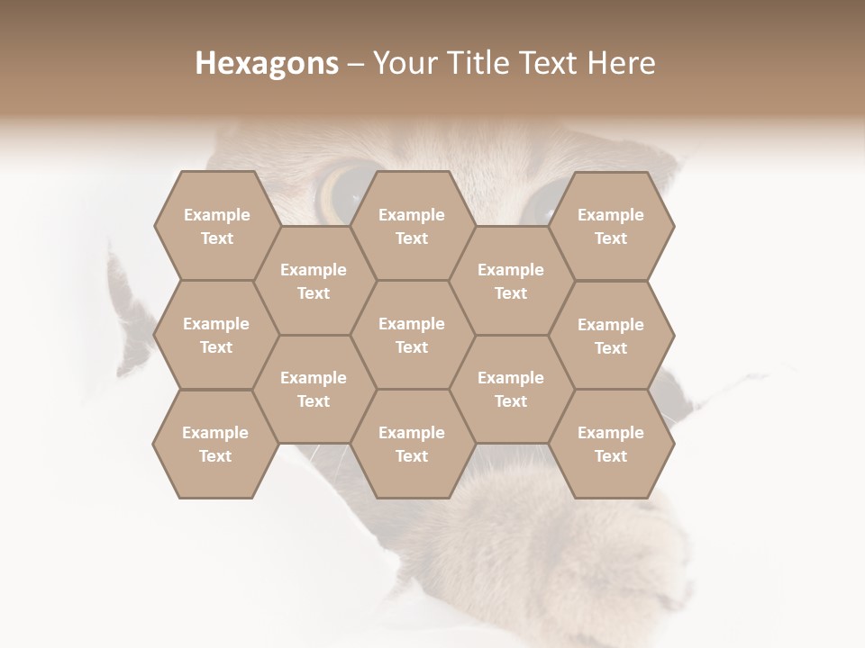 A Cat Peeking Through A Hole In A Paper PowerPoint Template