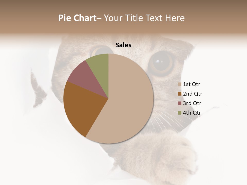 A Cat Peeking Through A Hole In A Paper PowerPoint Template
