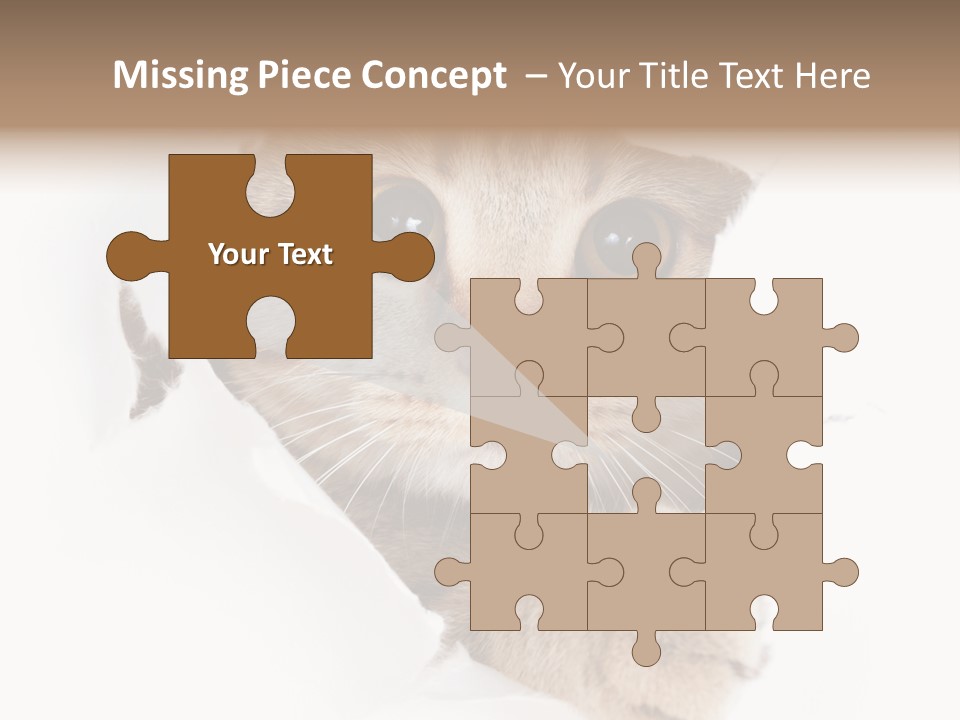 A Cat Peeking Through A Hole In A Paper PowerPoint Template