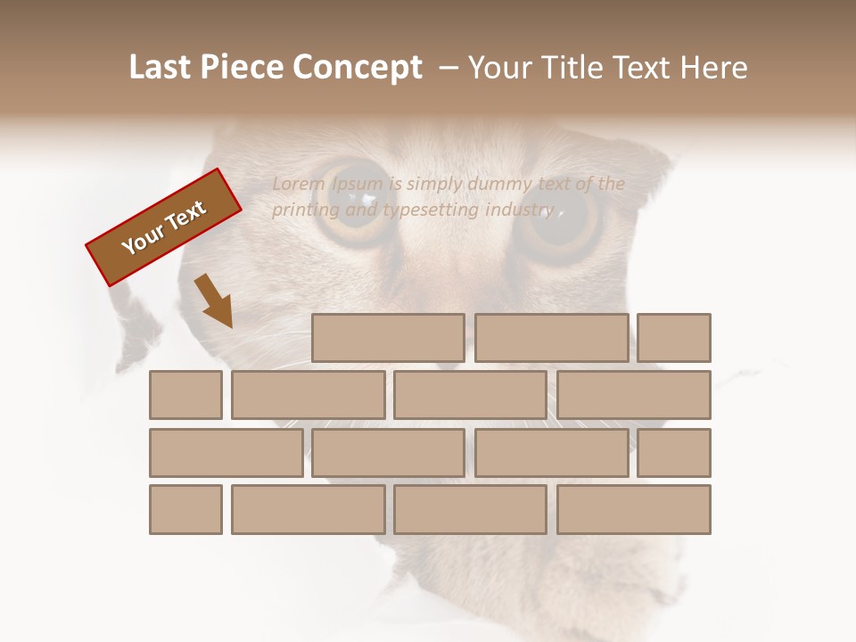 A Cat Peeking Through A Hole In A Paper PowerPoint Template