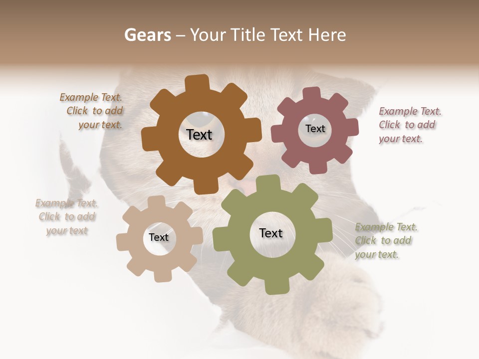 A Cat Peeking Through A Hole In A Paper PowerPoint Template