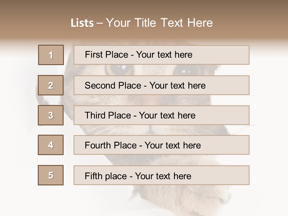 A Cat Peeking Through A Hole In A Paper PowerPoint Template